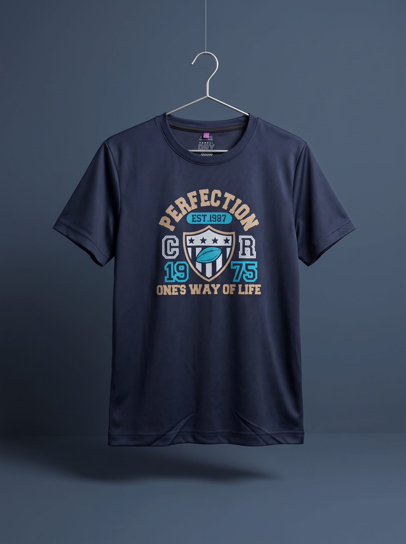 "Perfection" Collegiate Graphic Tee